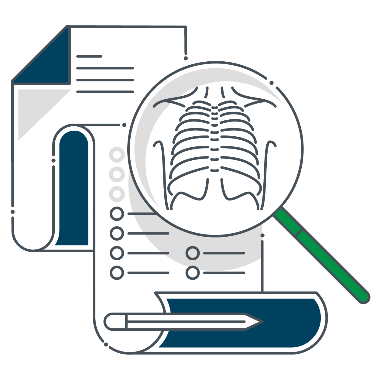 IMAGE PROTOCOL REVIEW